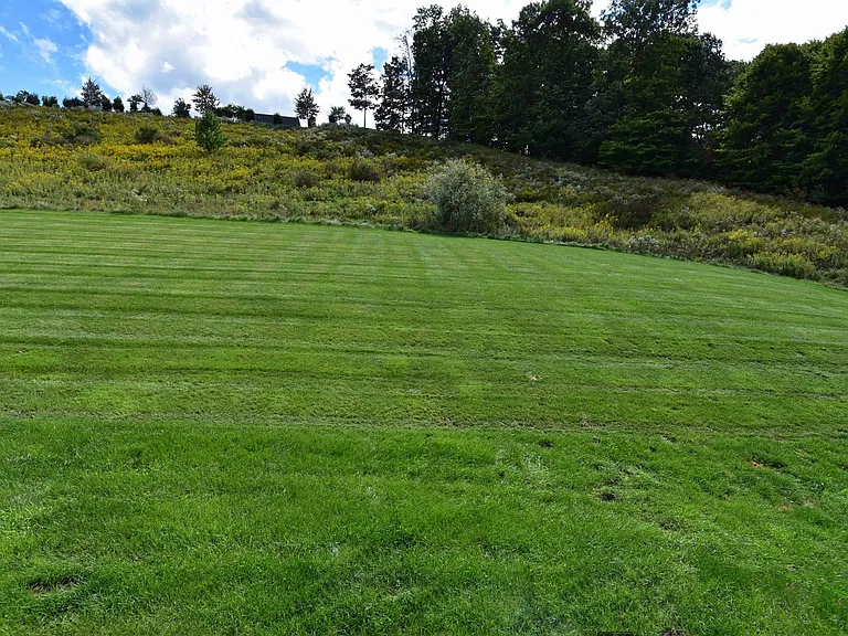 Flat backyard