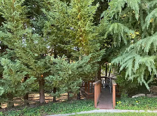 3311 Edgewater Dr — Photo 22