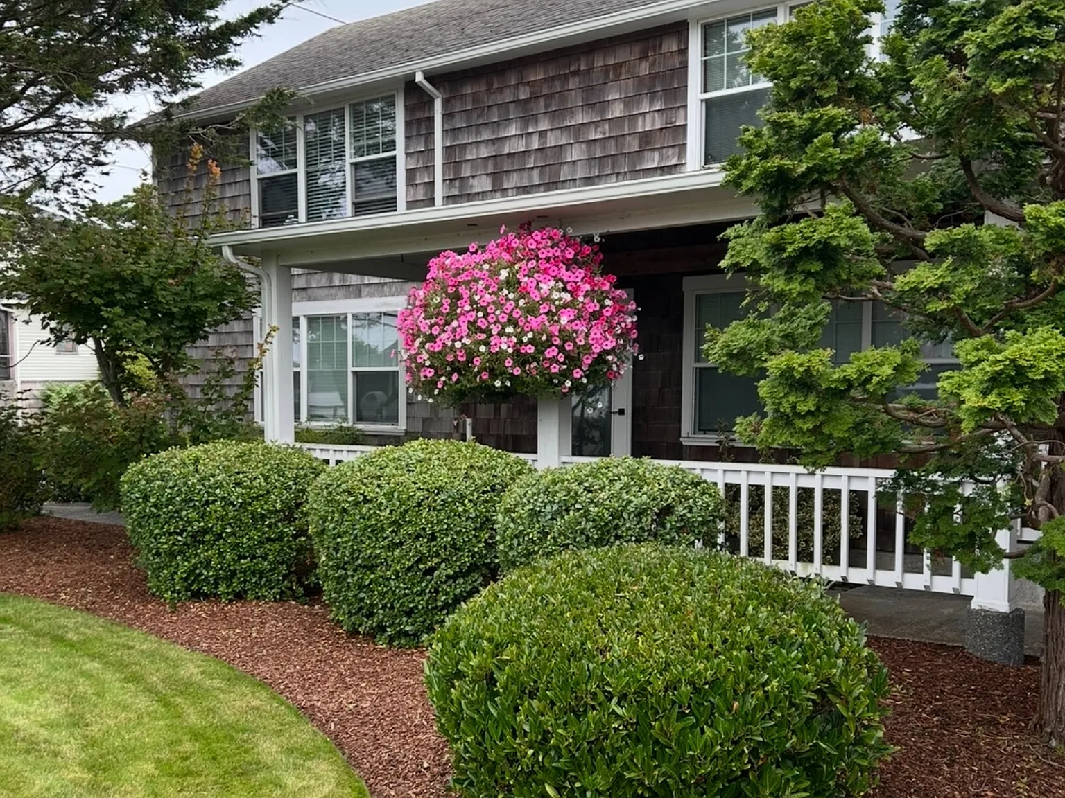 1 bed, 550 sqft, $1,050 — Photo 3