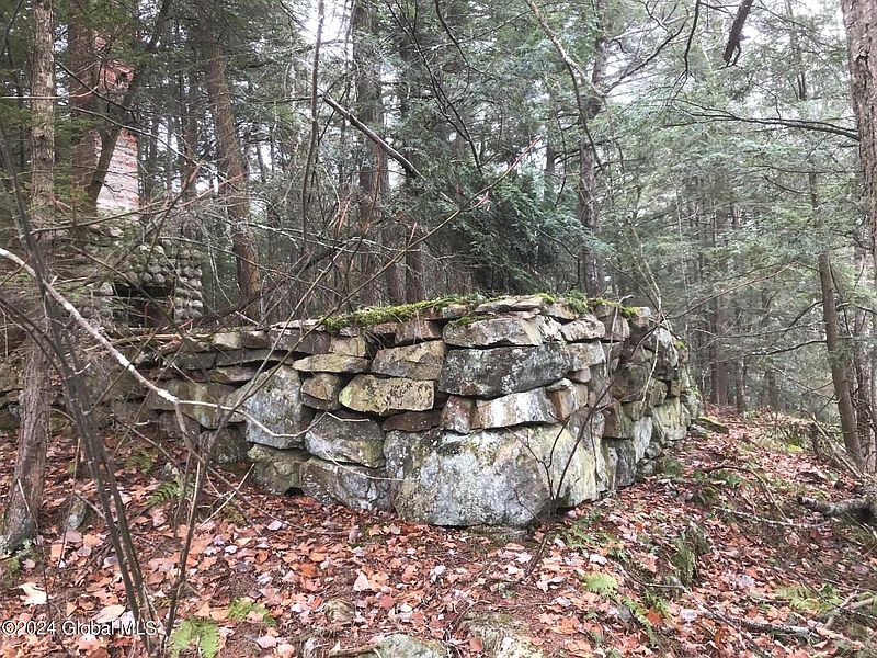 5th image of L25 NYS RTE 9N