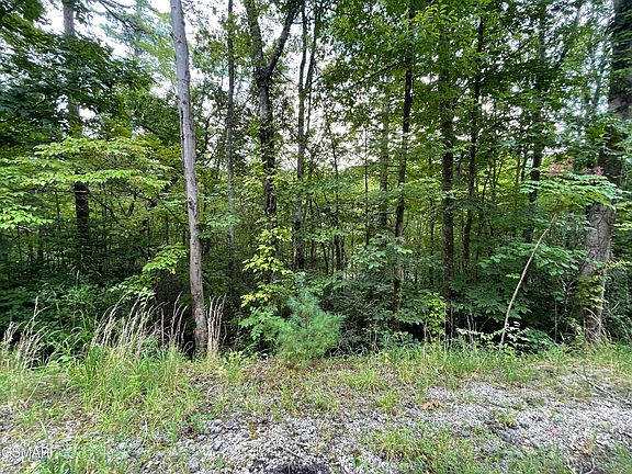 3rd image of LOT 5 Stepping Stone Dr