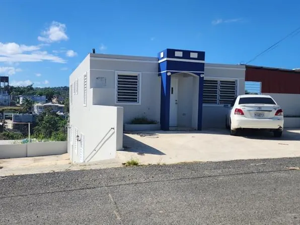 110 Calle Victor Gonzalez, Moca, PR 00676