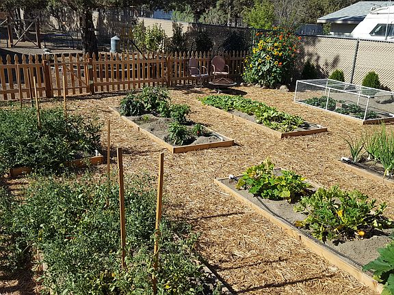 Raised garden beds