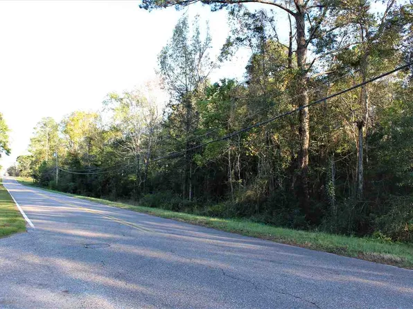 0 E Hart Ave, Opp, AL 36467