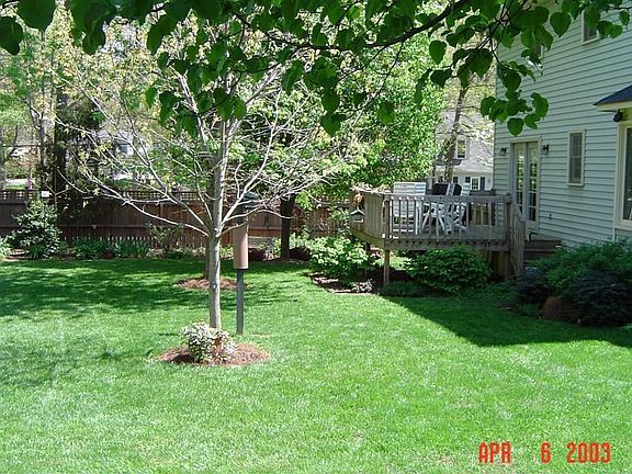 Back yard/deck