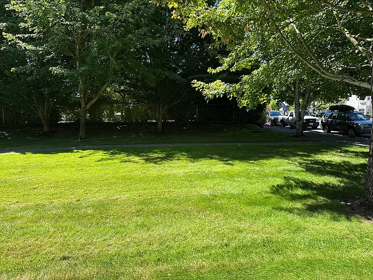 The Avenues 75/25 — Photo 3