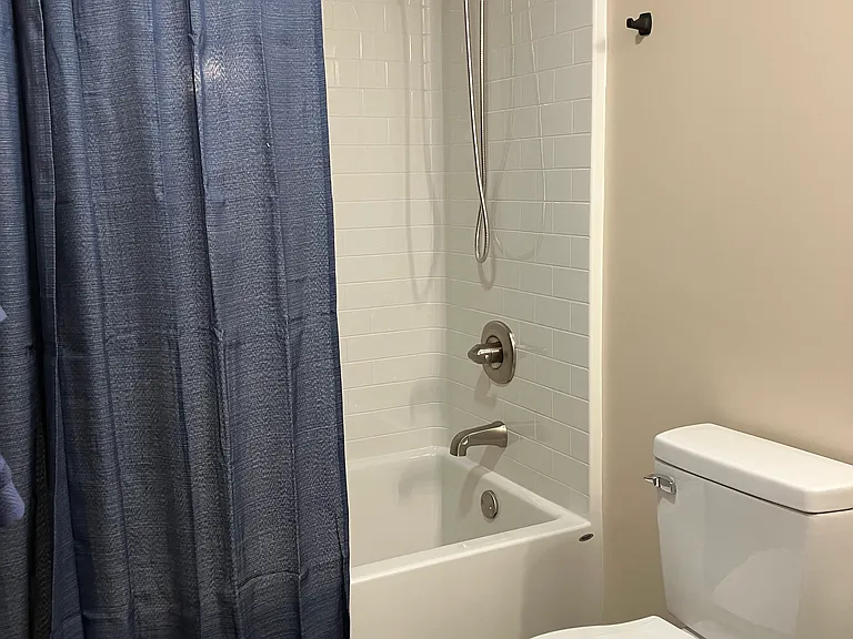 Ensuite bath shower/tub combo