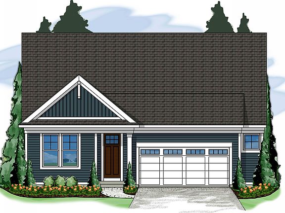 Iris Rendering - colors do not represent all possible exterior selection colors.