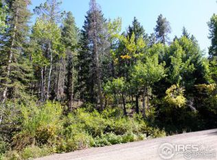 11686 Brook Rd, Golden, CO 80403