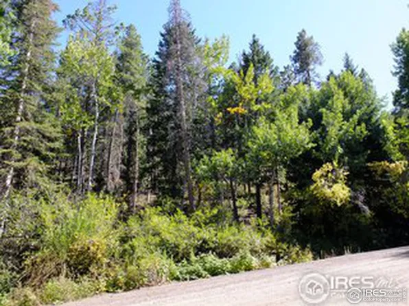 11686 Brook Rd, Golden, CO 80403