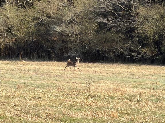 5th image of 0 Brookshire Rd NE #2