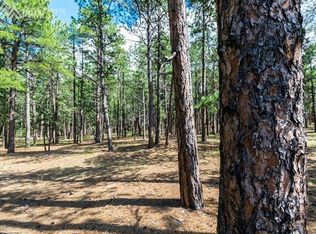 1455 Trumpeters Ct, Monument, CO 80132