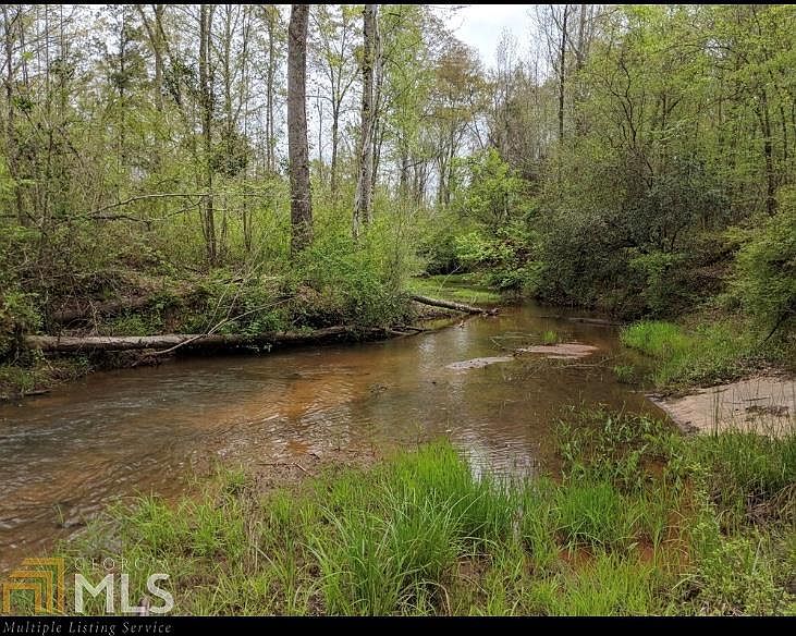 1st image of 0 Palmetto Creek Ln