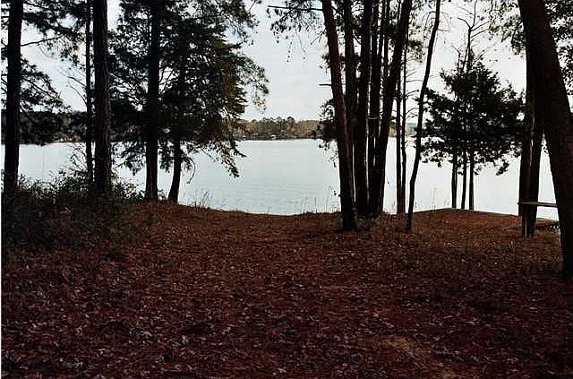 1st image of 12076 Orlea Ln