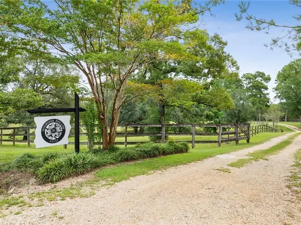 84132 Holliday Rd, Folsom, LA 70437