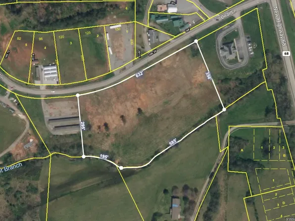 5.8 Bear Ln, Tellico Plains, TN 37385