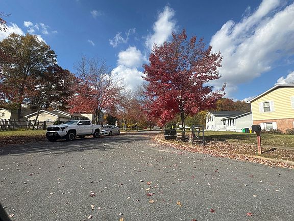 5th image of 12503 Carland Pl