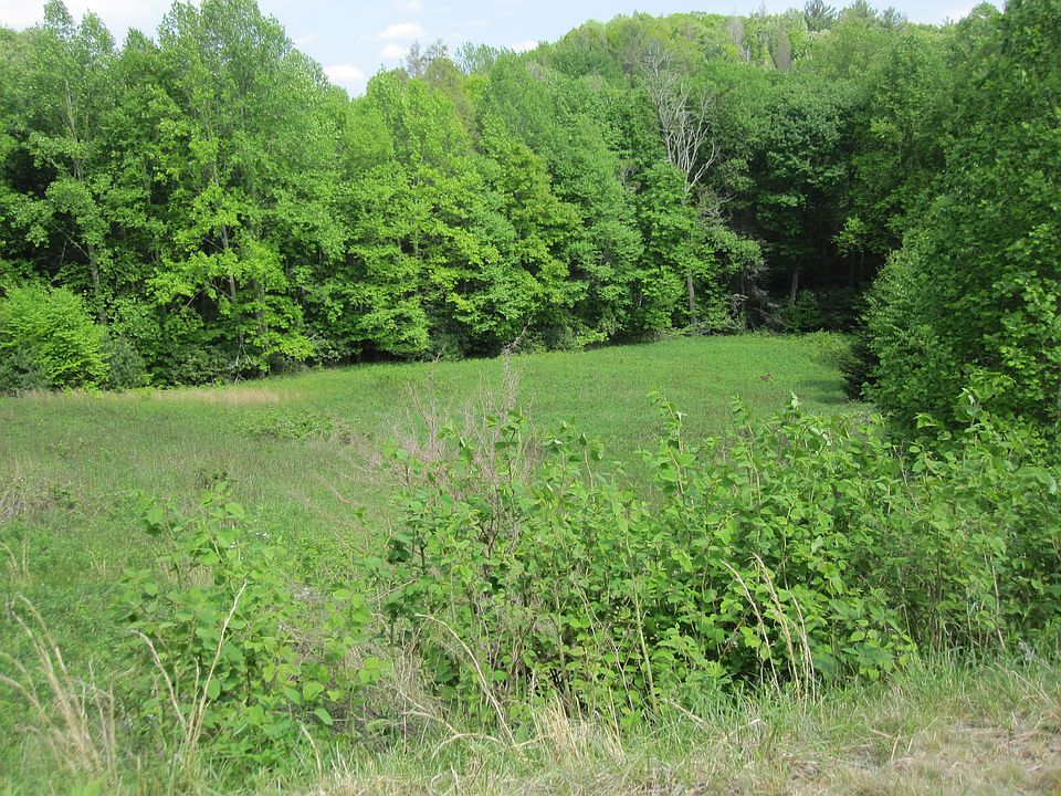 1st image of Tbd Peoria