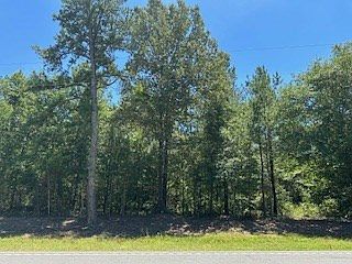 2nd image of 0 State Highway 144