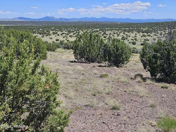 8515 Northview Rd, Concho, AZ 85924