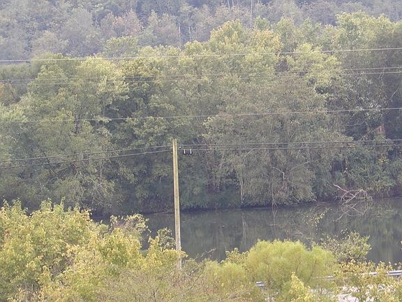 5th image of 150 Dycus Landing Ln