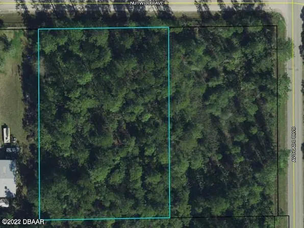 6017 Nutwood Ave, Bunnell, FL 32110