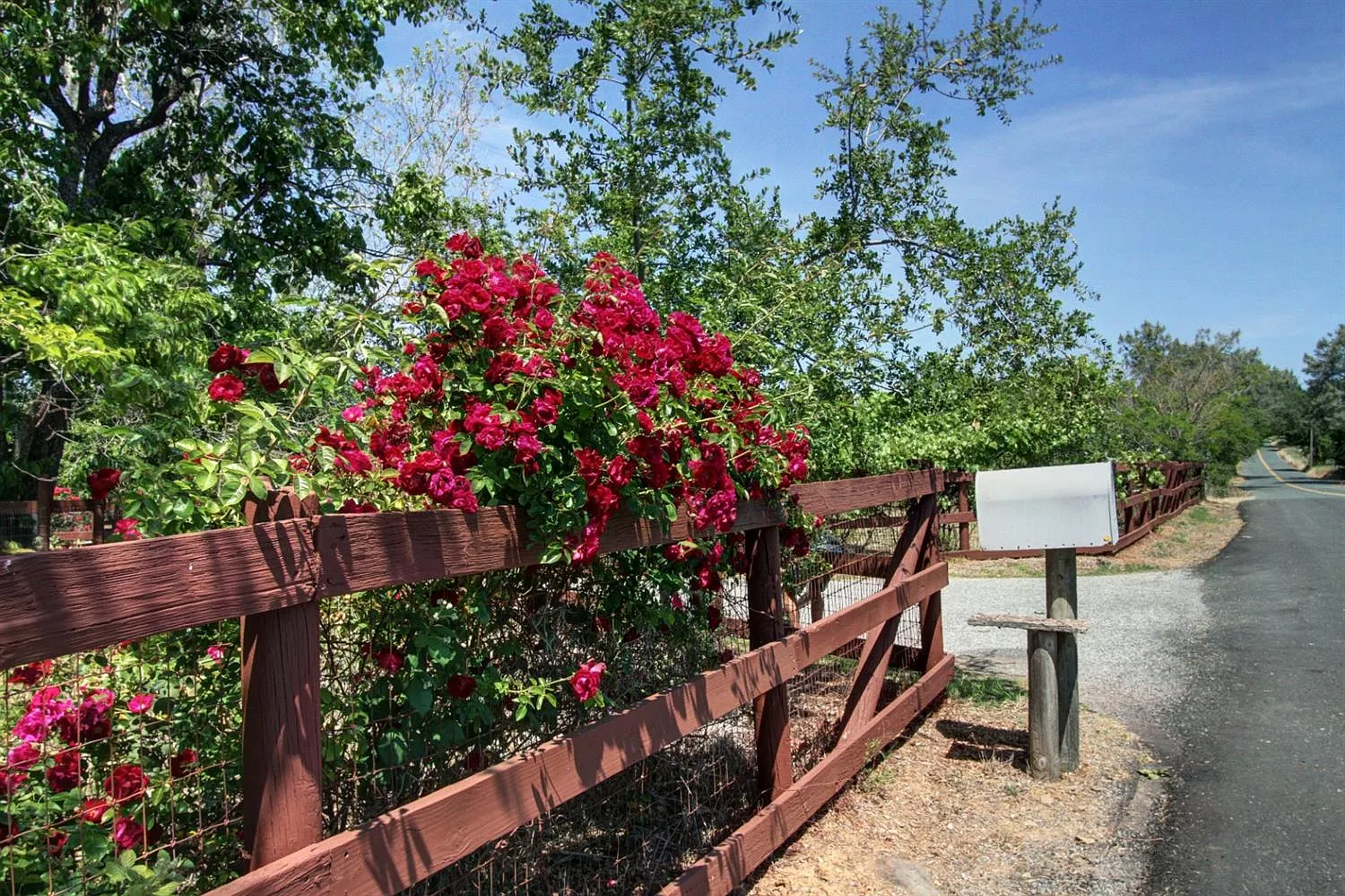 5465 Bell Rd photo 1