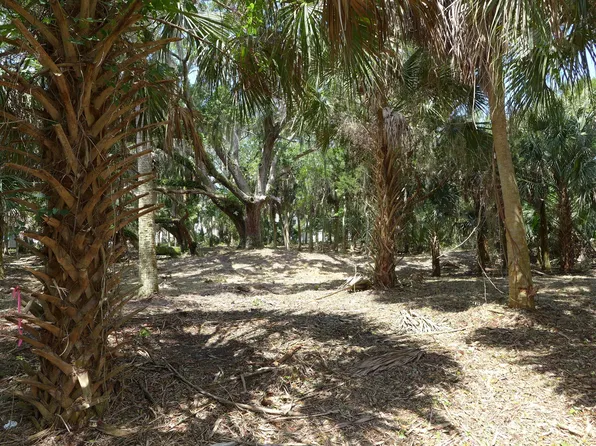 3324 Myrtle St, Edisto Island, SC 29438
