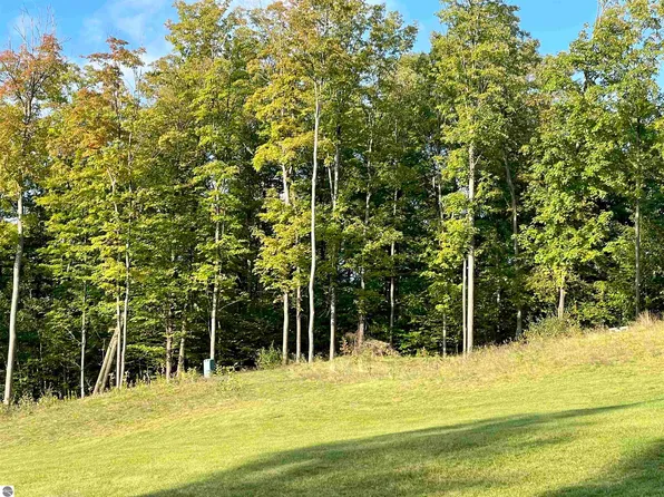 Raptor Run, Bellaire, MI 49615