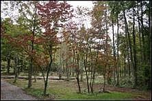 1st image of 0 Scenic River Rd Lot 17