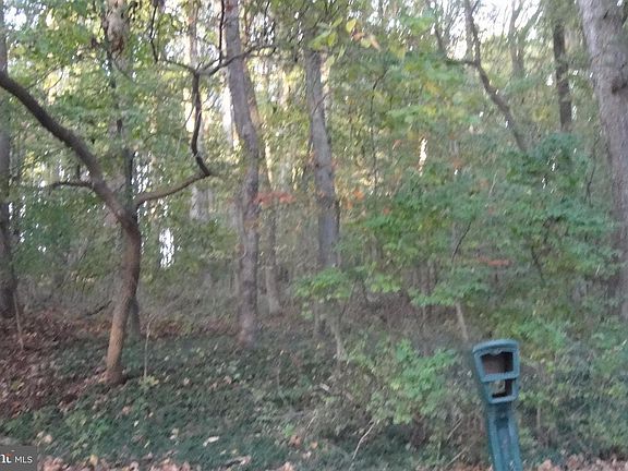3rd image of 13603 Summer Hill Dr