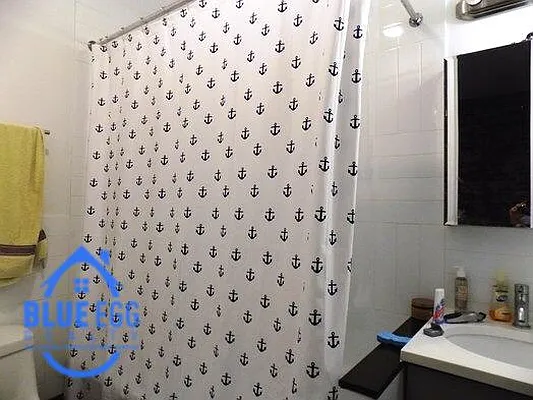 Rented by Blue Egg Realty Corp | media 10