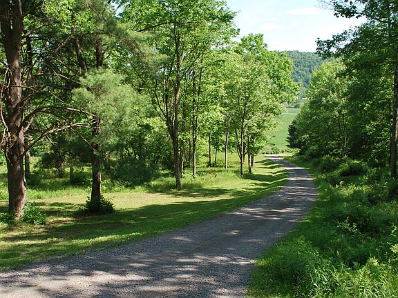 3rd image of 129 Fawn Dr