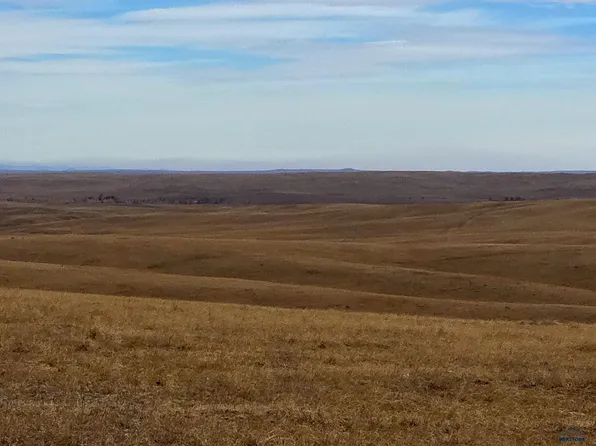 Other, Oelrichs, SD 57763