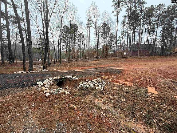 2nd image of Wilderness Ln