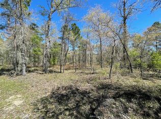 LOT 12 SE 117th Ter LOT 12, Morriston, FL 32668