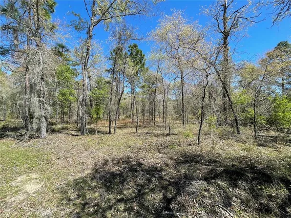 LOT 12 SE 117th Ter Lot 12, Morriston, FL 32668