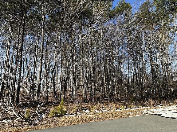 3rd image of 0 Pierce Denny Rd