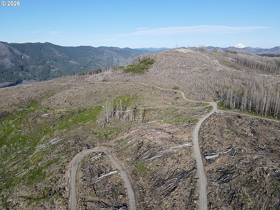 2nd image of 2 Middle Horse Creek Rd
