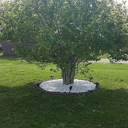 5th image of 246 Marshall Dr