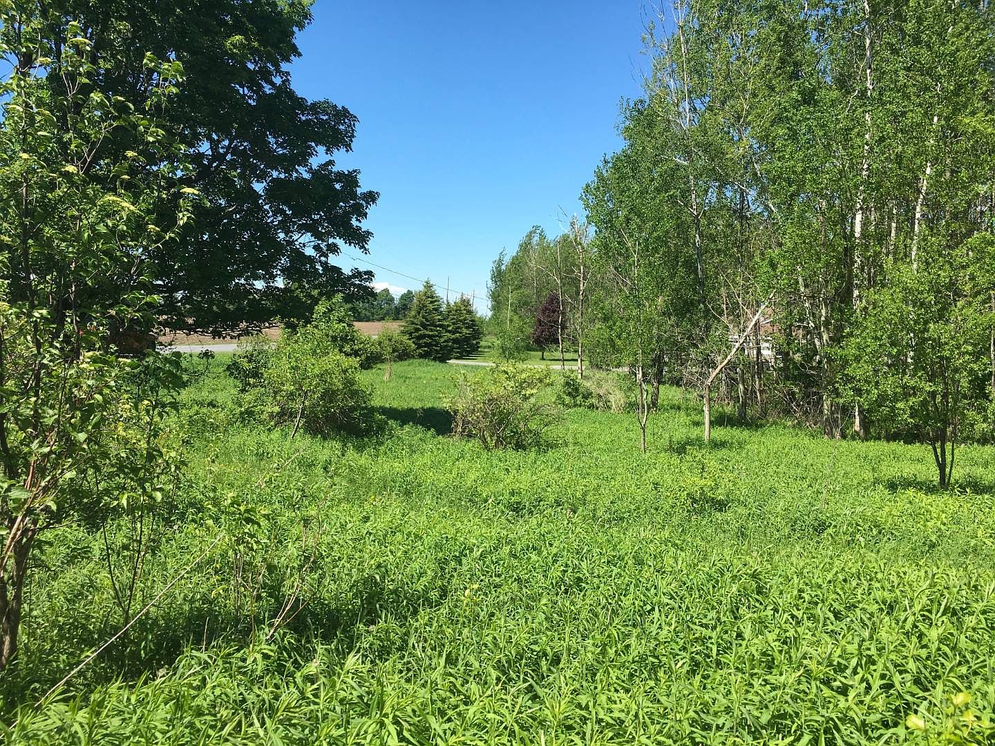 Ball Rd, Black River, NY 13612 Zillow