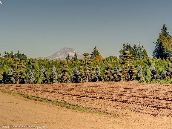 2nd image of 2100 SE 282nd Ave