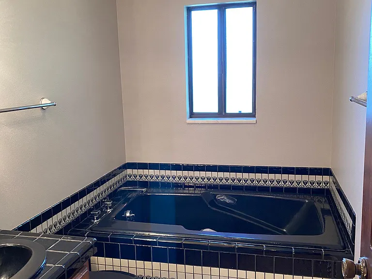 Bathroom 1 main level