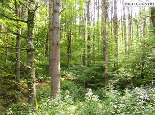 Springtime Ln, West Jefferson, NC 28694