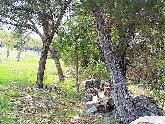 4th image of 24802 Creek Loop