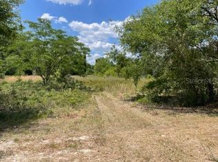 LOT 2 SW County Road 313 LOT 2, Trenton, FL 32693