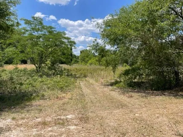 Lot 2 SW COUNTY ROAD 313 LOT 2, TRENTON, FL 32693