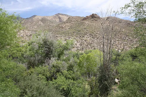 6655 N Canyon Crest Dr Photo 1