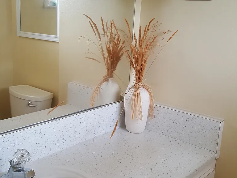 bath