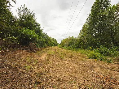 Property photo 24